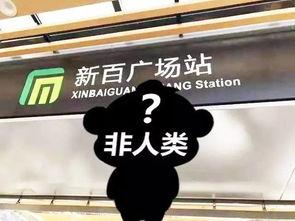 石家庄假食爆料事件视频,揭露食品安全背后的惊人真相  第1张